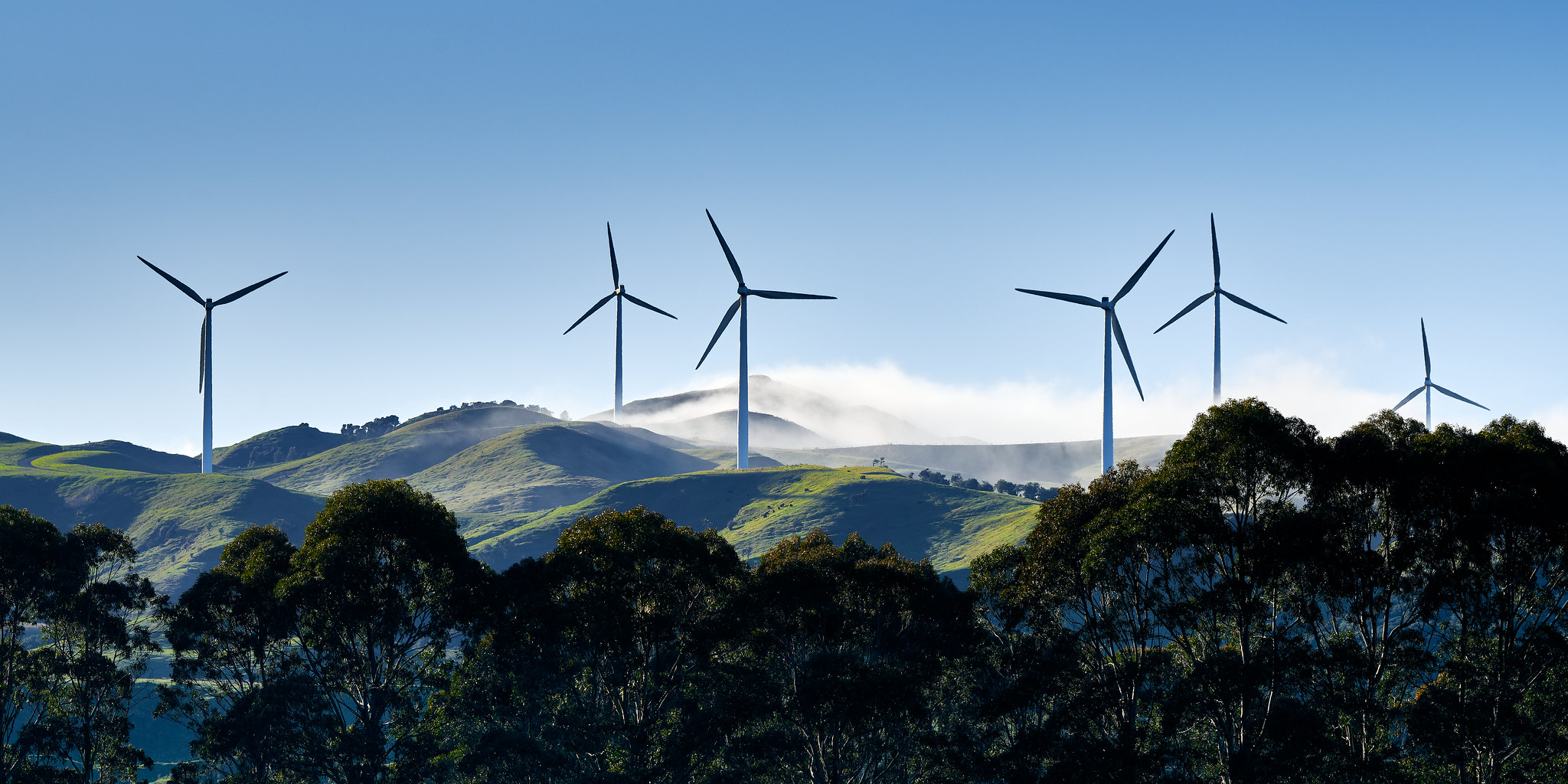 Windturbinen auf grünen Hügeln mit Nebel